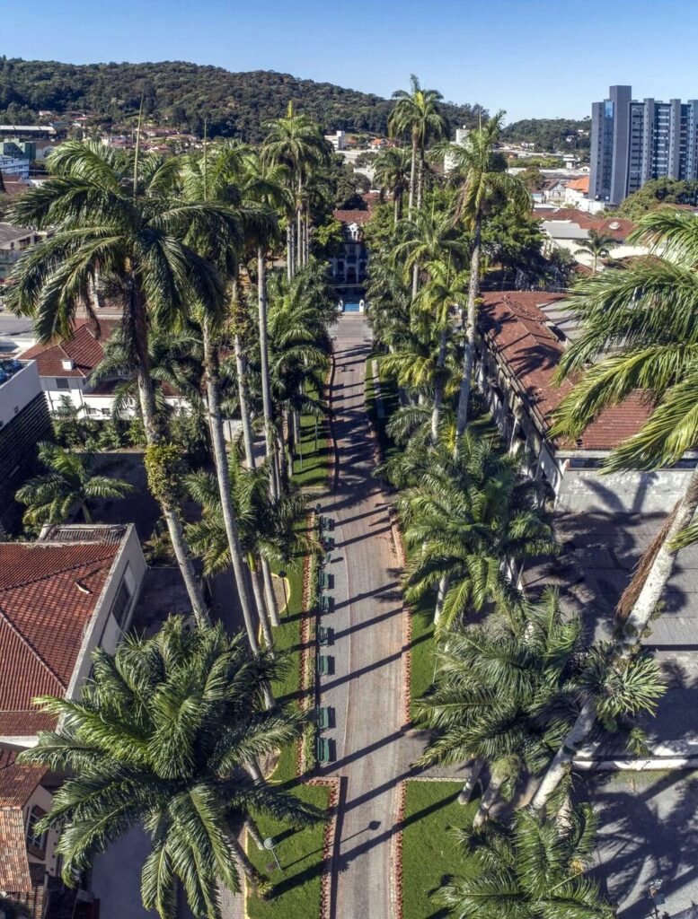 Rua das Palmeiras, vista aérea