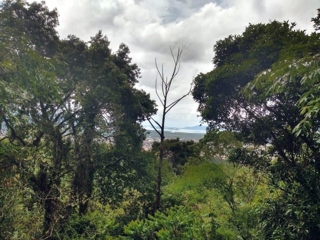 Parque Morro do Finder, vista para a Baía da Babitonga