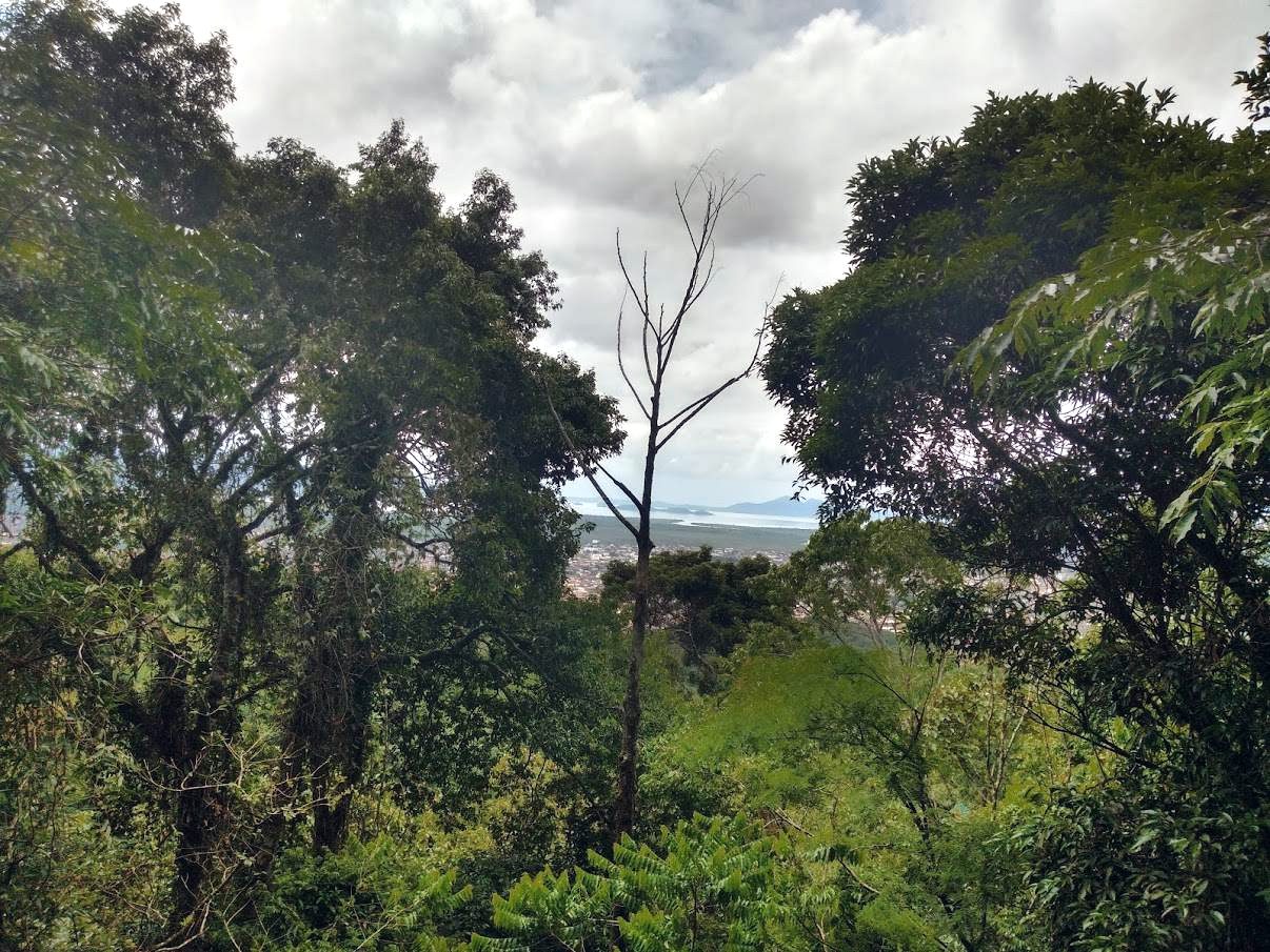 Parque Morro do Finder, vista para a Baía da Babitonga