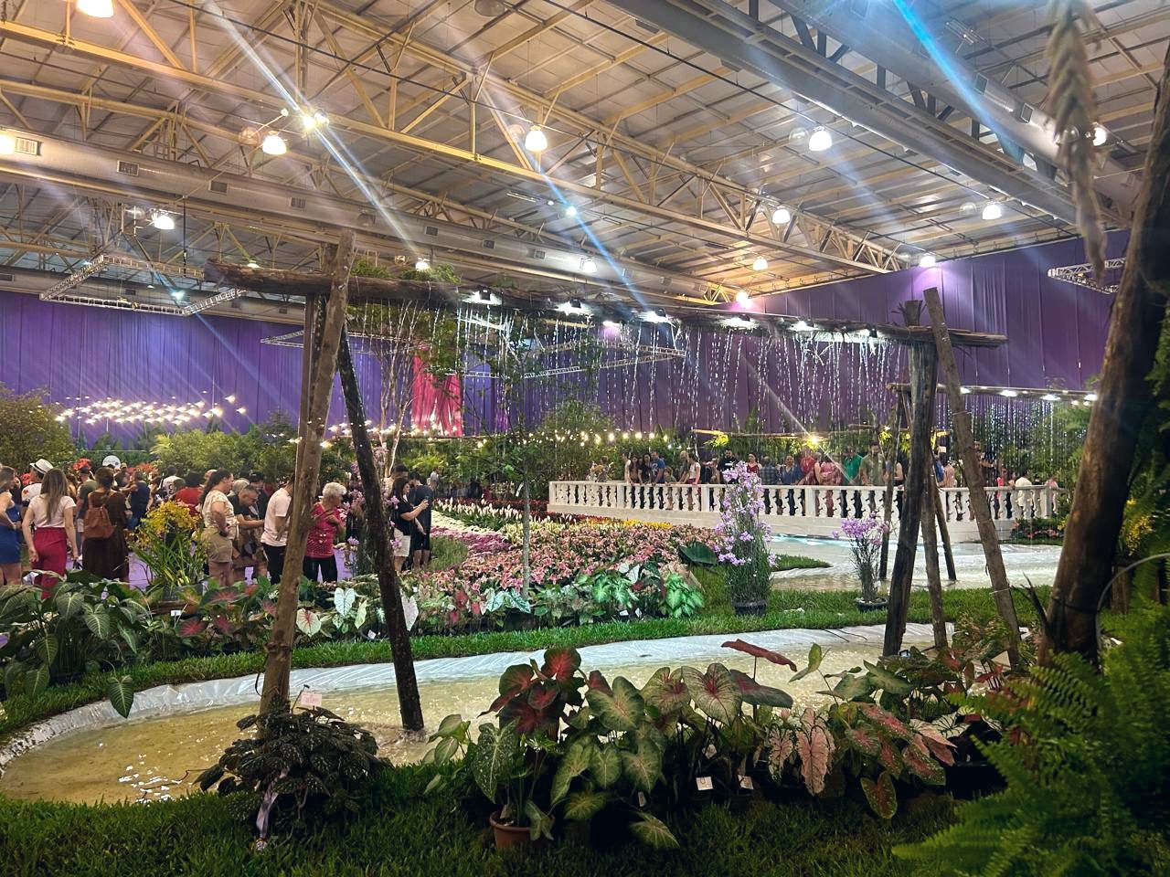 Festa das Flores 2024